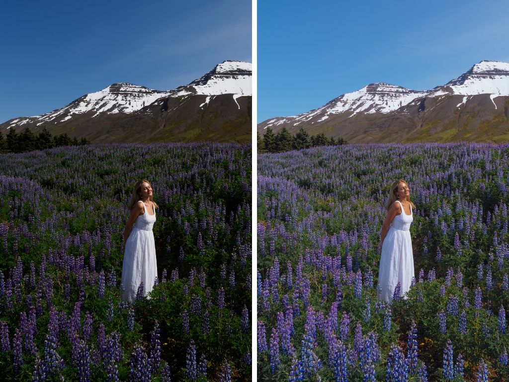 The Master Collection: Mobile Lightroom Presets