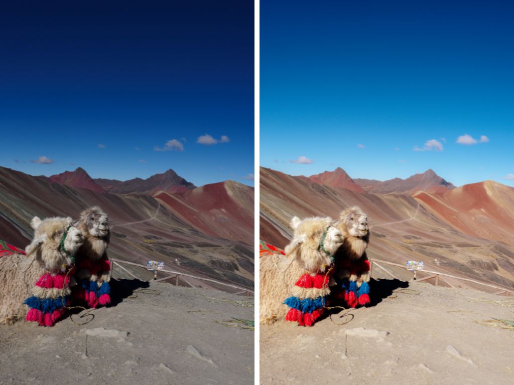 The Master Collection: Mobile Lightroom Presets