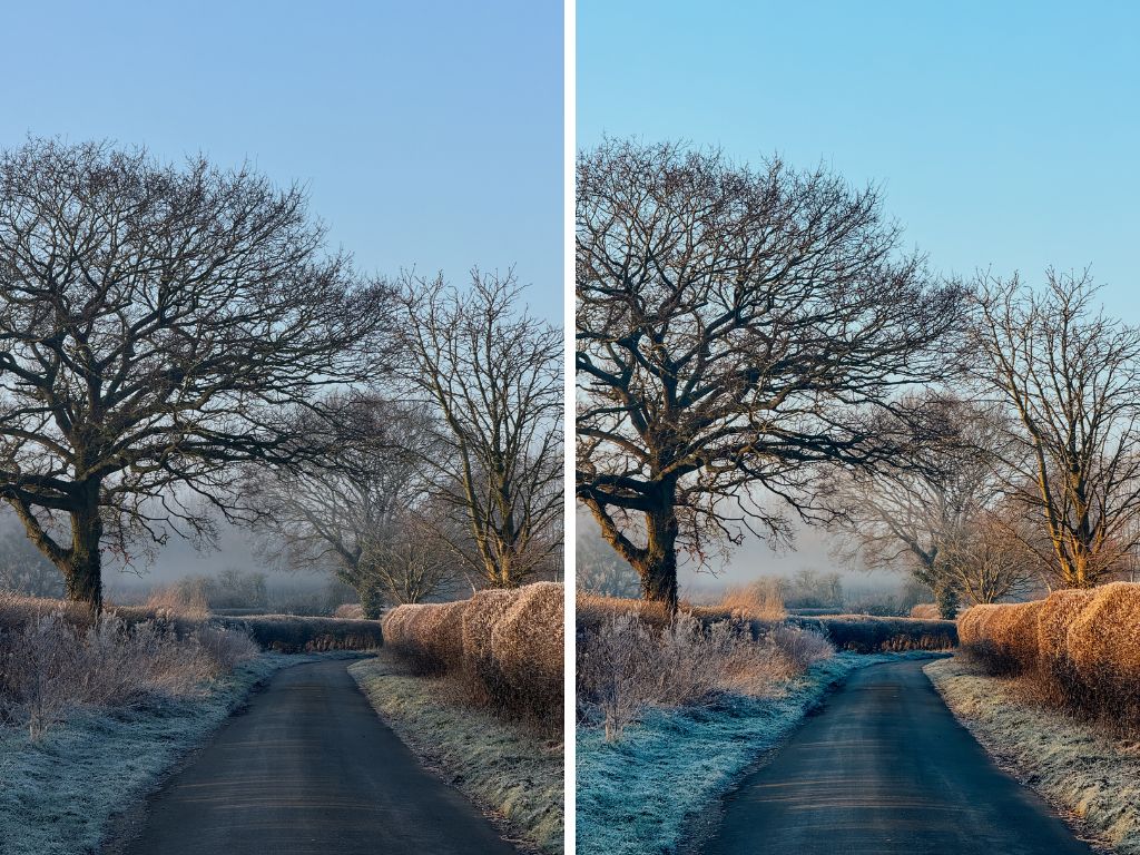 The Signature Collection: Mobile Lightroom Presets