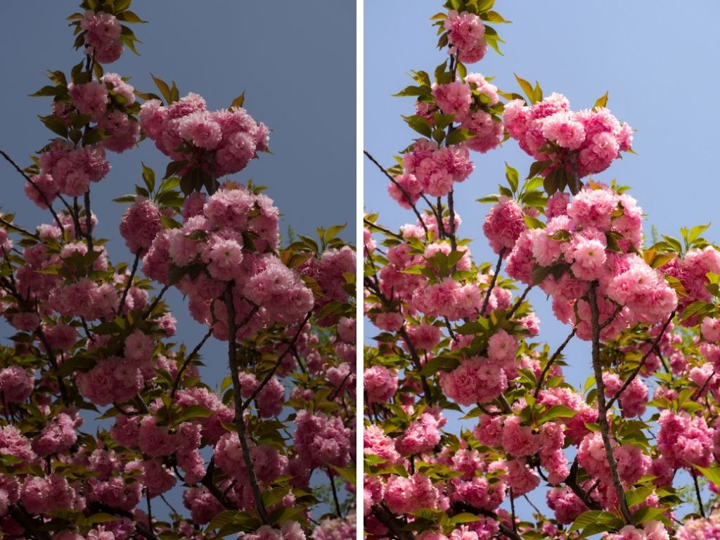 The Signature Collection: Mobile Lightroom Presets