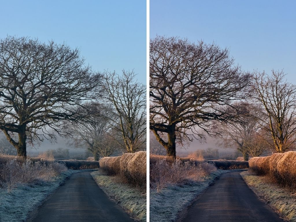 The Signature Collection: Mobile Lightroom Presets